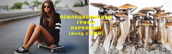 винт Богородицк