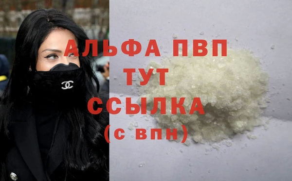 тгк Щёлкино
