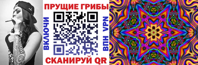 kraken ССЫЛКА  Буйнакск  Псилоцибиновые грибы мицелий 